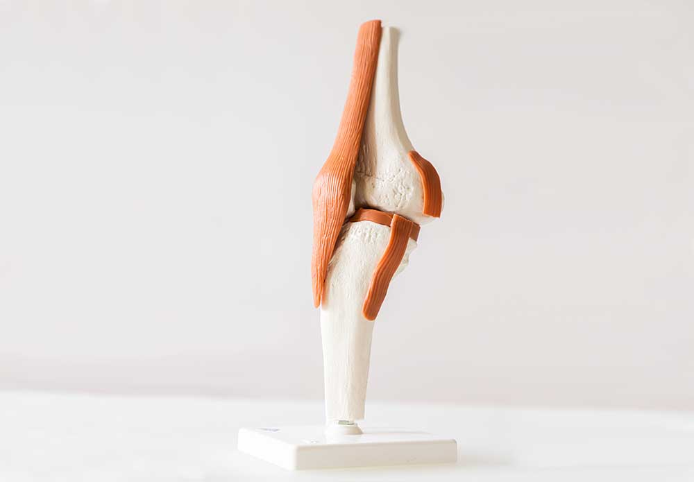Especialista en prótesis de rodilla en Madrid - Traumatología - Clínica DKF